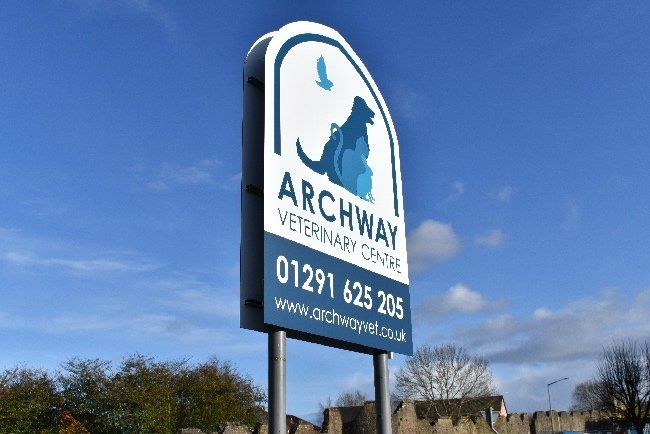 Web Design Portfolio | Veterinary Website Design