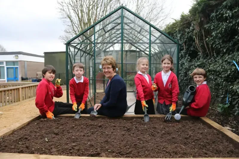 Christ the King Primary School | School Website Design