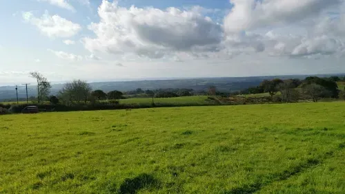 Website Booking System Case Study | Vale View Dog Field