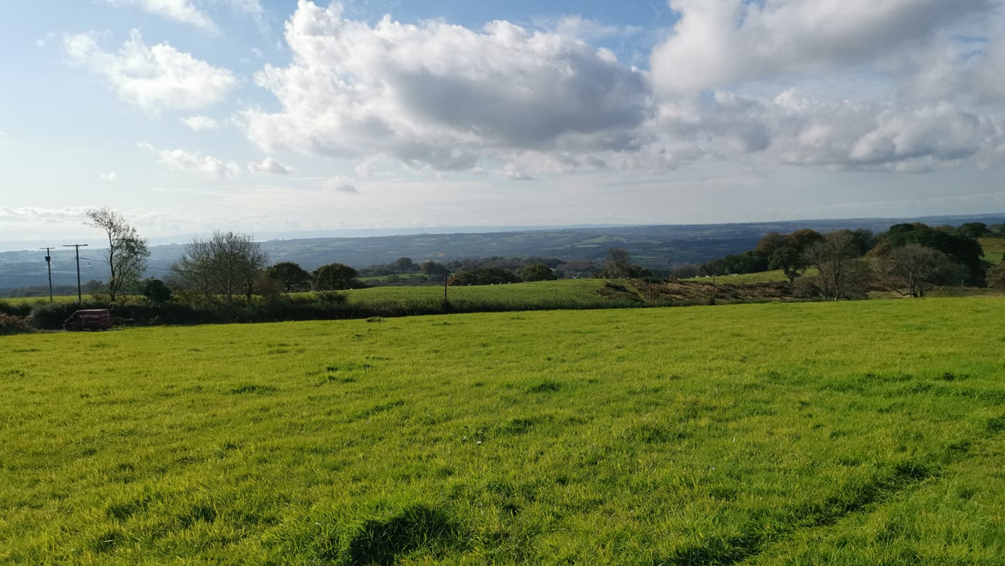 Website Booking System Case Study | Vale View Dog Field