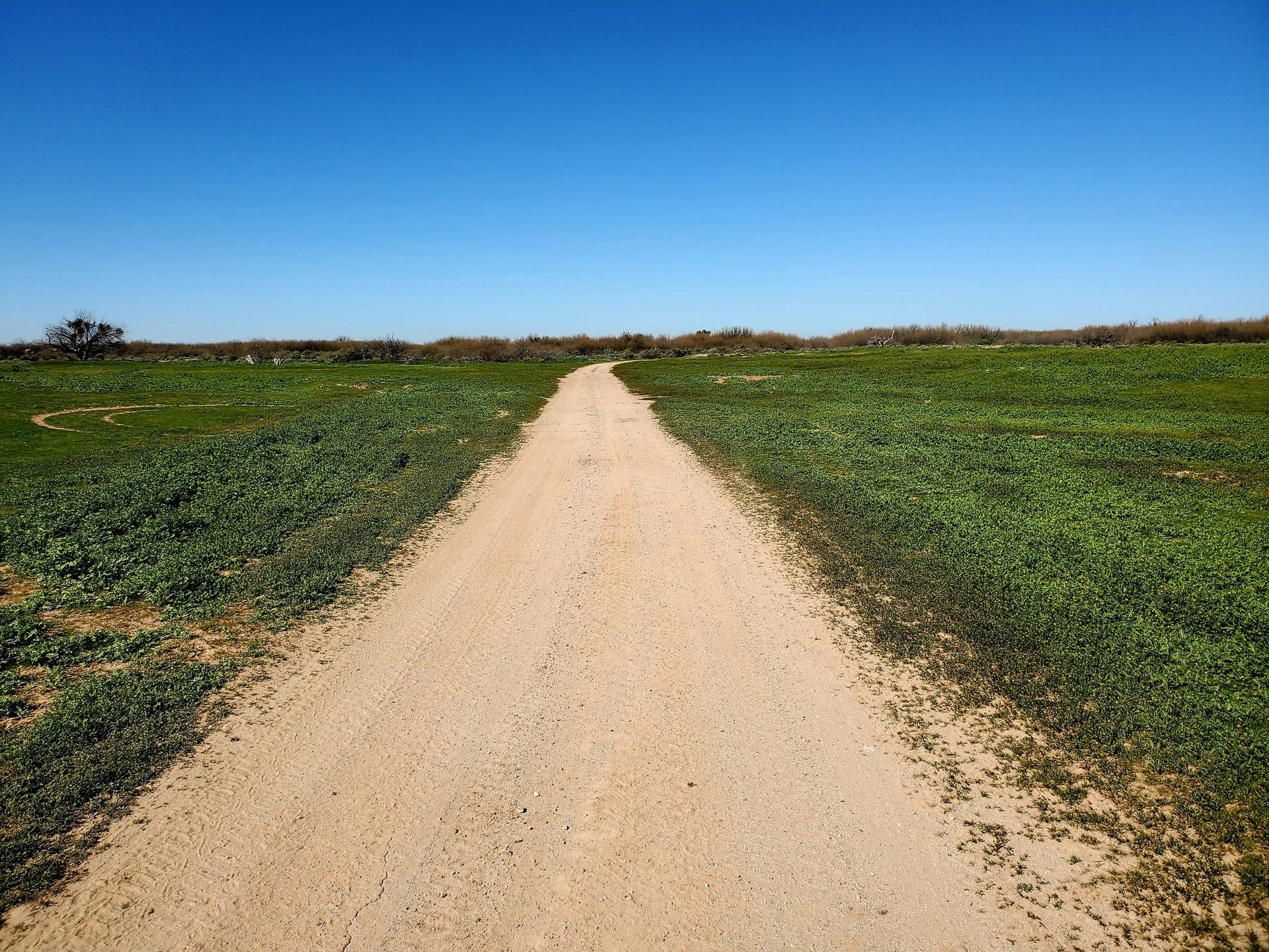 A dirt road going through a grassy field on a sunny day.