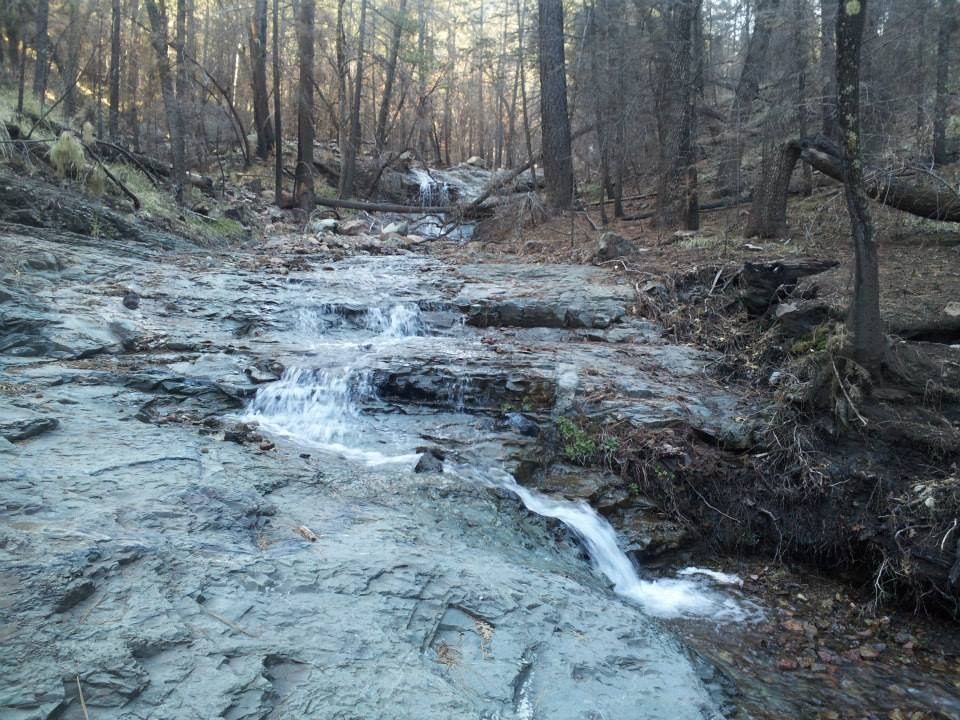 A small waterfall in the middle of a forest