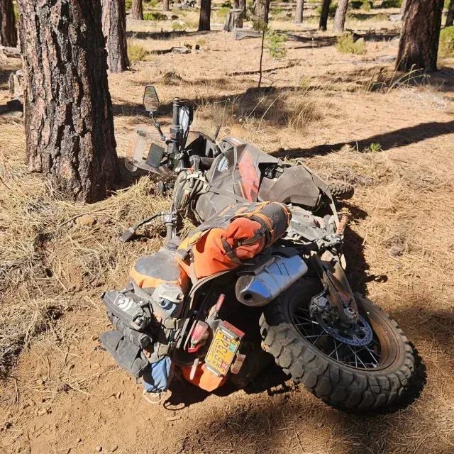 A close up of a metal plaque on a concrete surface.
