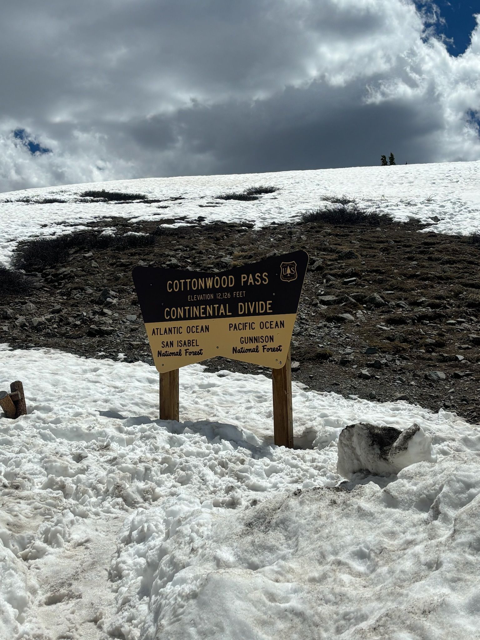 A dog is laying in the snow next to a sign
