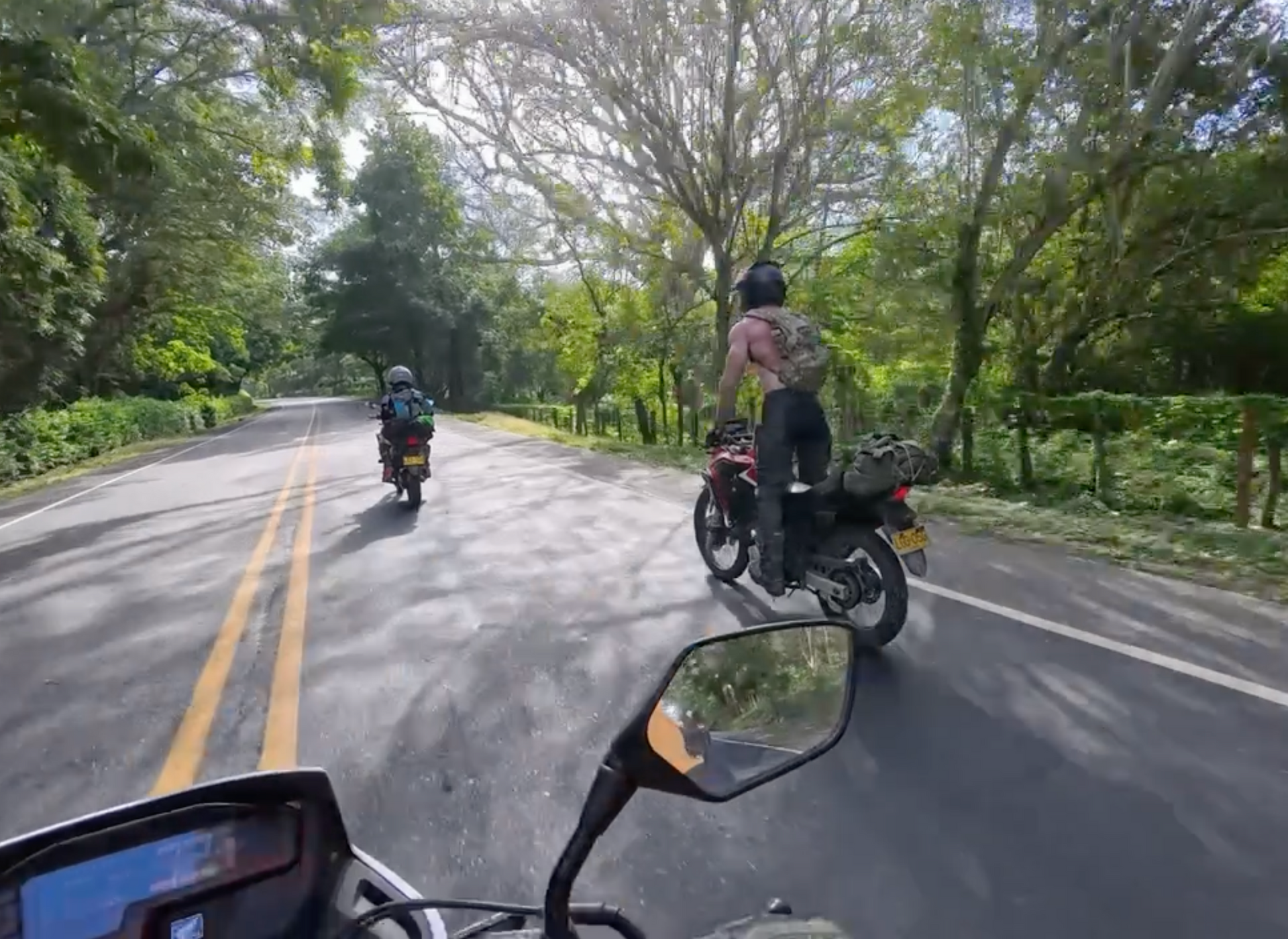Three motorcyclists ride along a sunny road lined with trees.