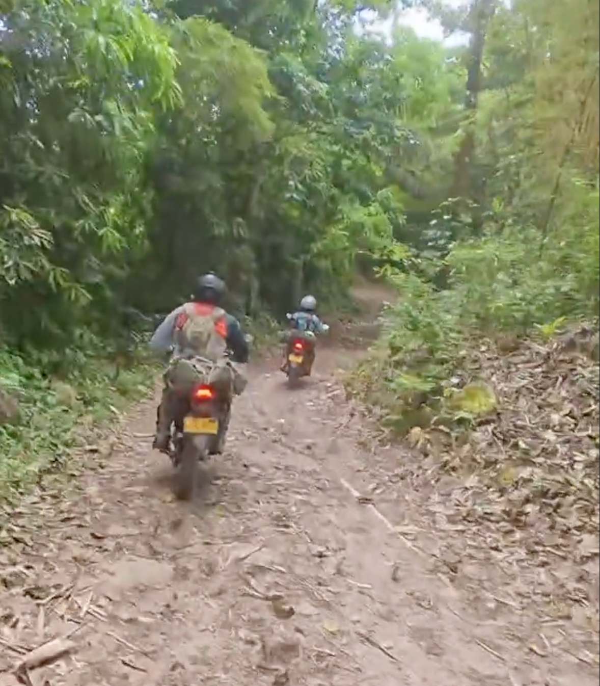 Two motorcyclists ride on a muddy, dirt road through a lush green forest.
