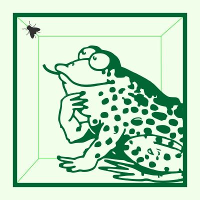 Zeichnung einer Kröte