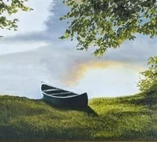 Canoe on grassy bank under a tree, cloudy sky.