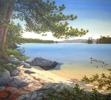 Lakeside view with blue water, sandy shore, and pine trees under a clear sky.