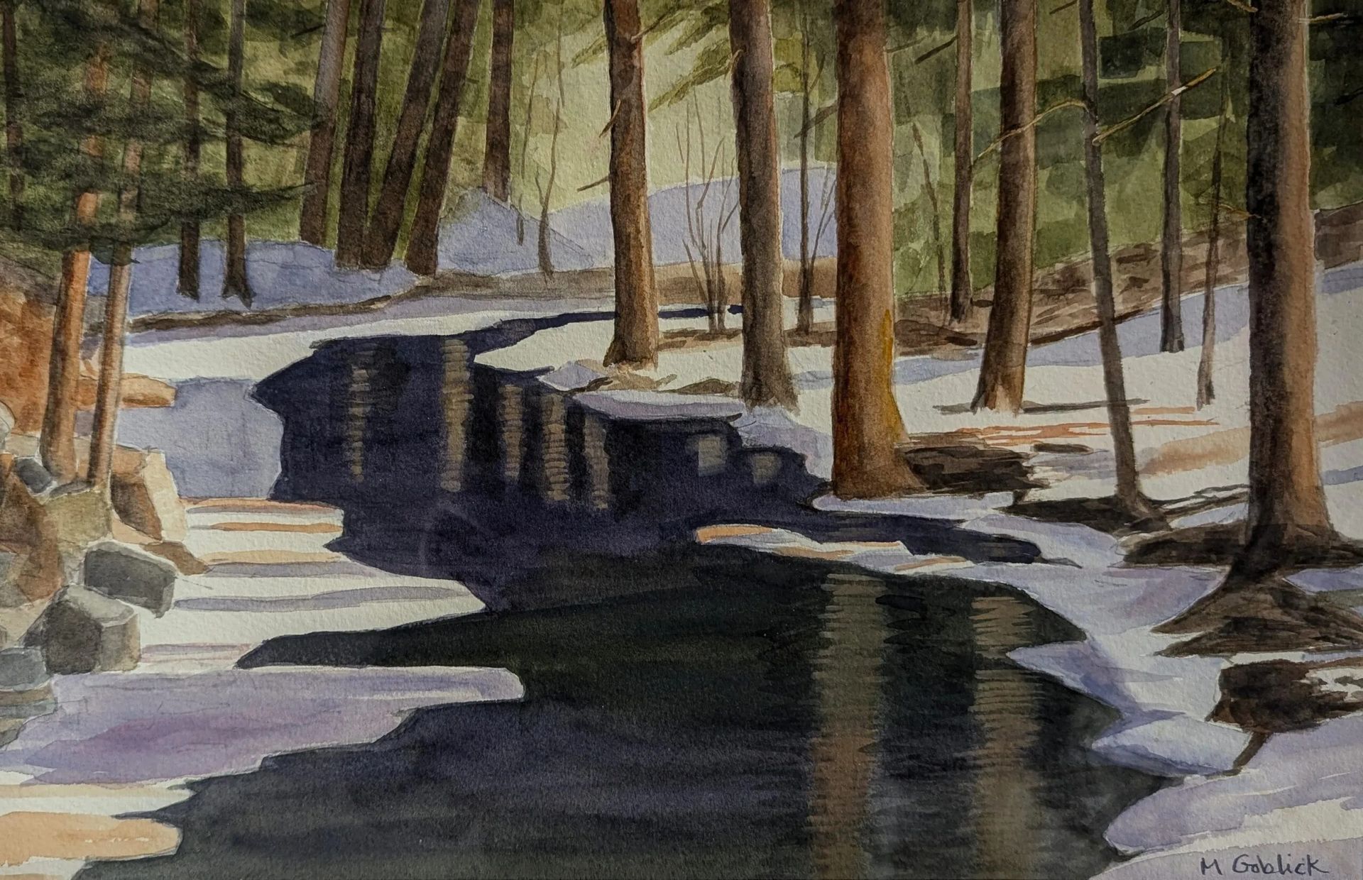 Forest stream with melting snow; trees and shadows.