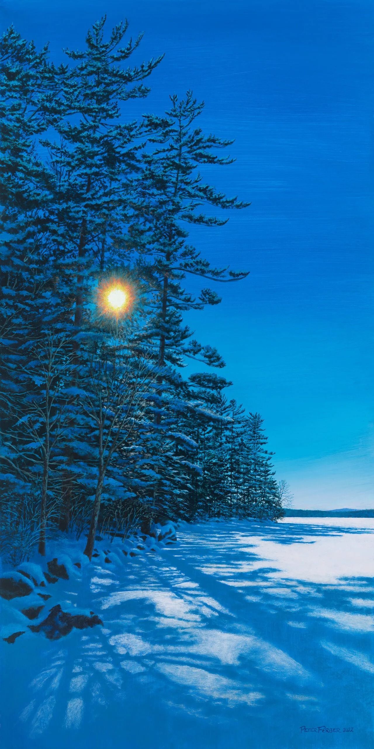 Snowy winter scene: trees on a snow-covered shore with the sun shining, blue sky.