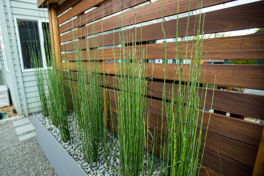 A wooden fence with a planter filled with plants in front of it.