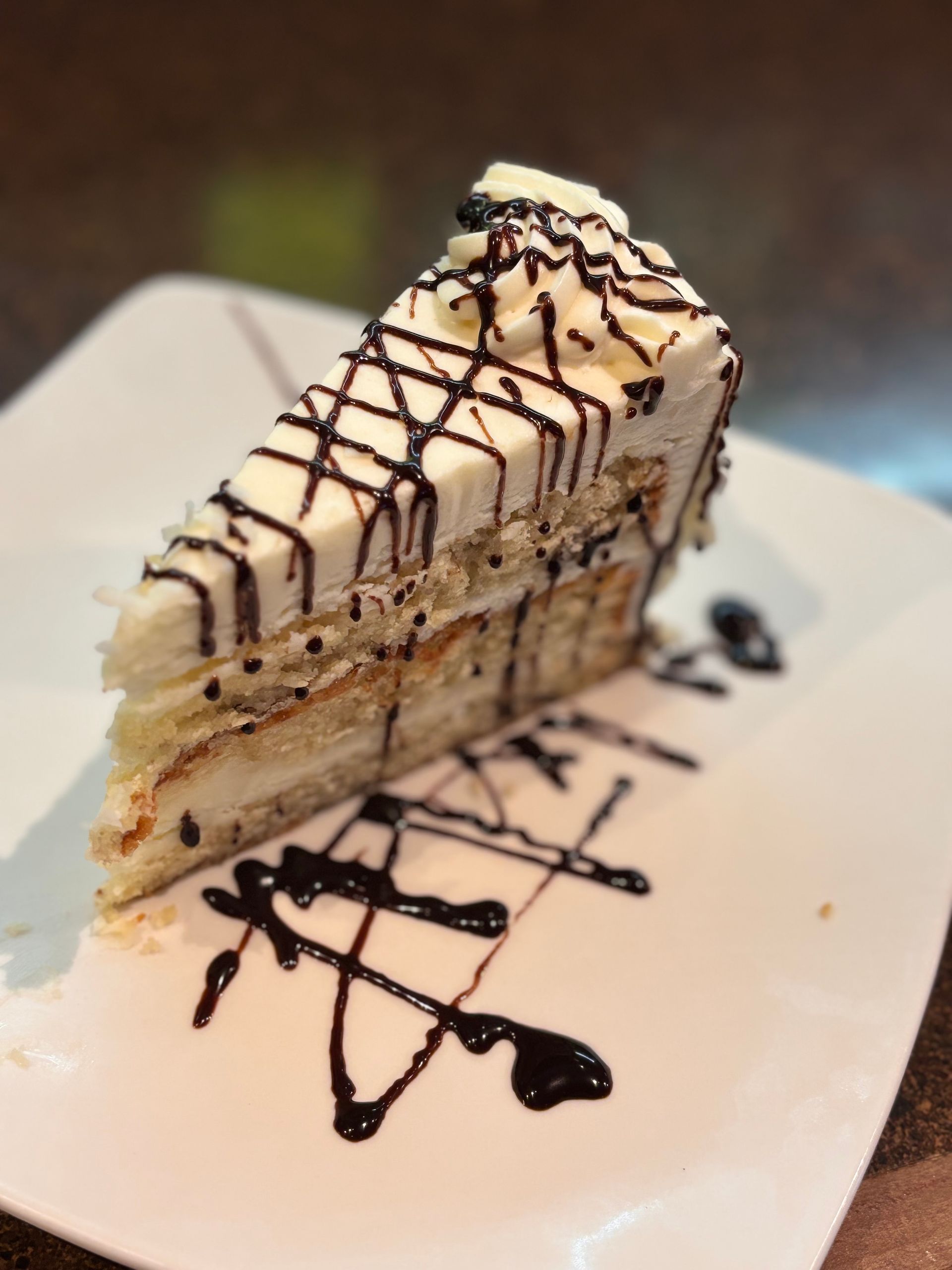 A slice of cake with chocolate sauce on a white plate