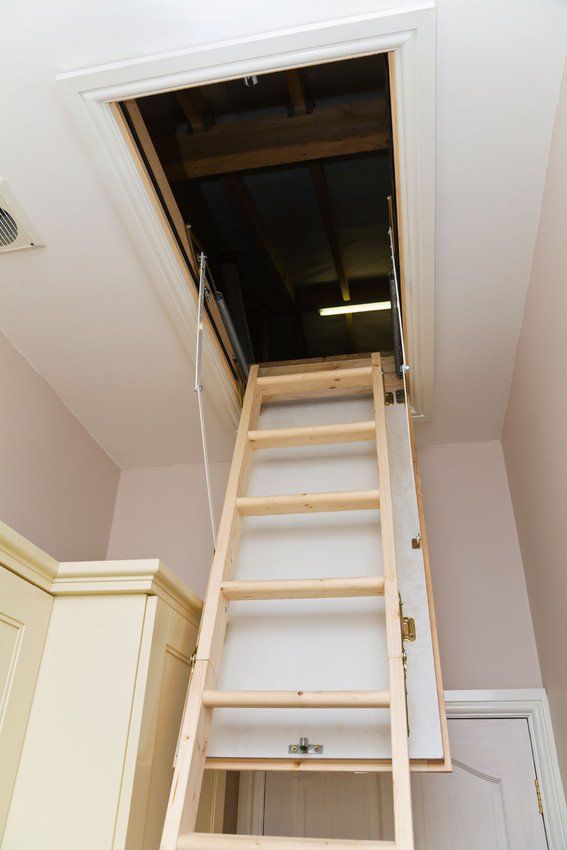 Loft ladder