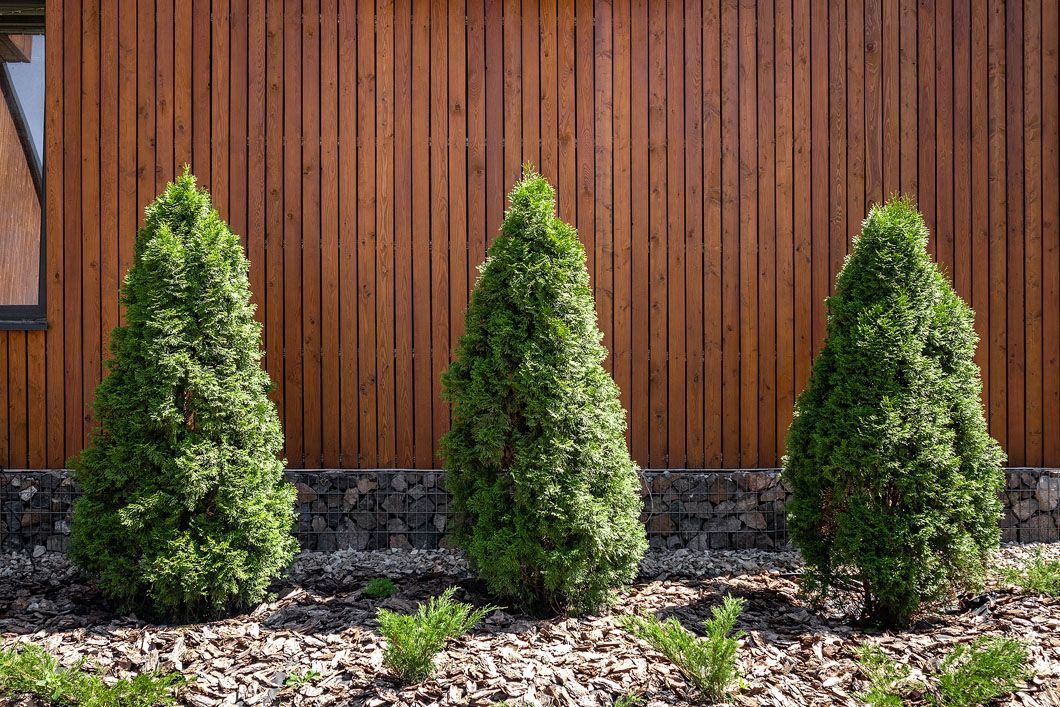 A row of trees in front of a wooden building.