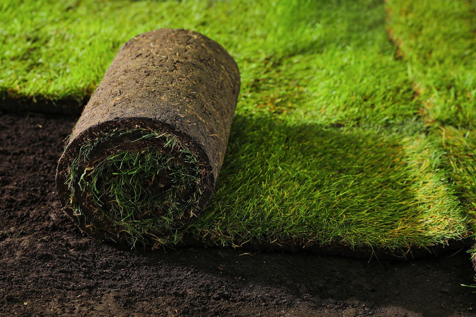 A roll of turf is sitting on top of a lush green lawn.