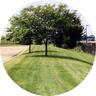 Lawn Care