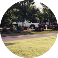 Lawn Restoration