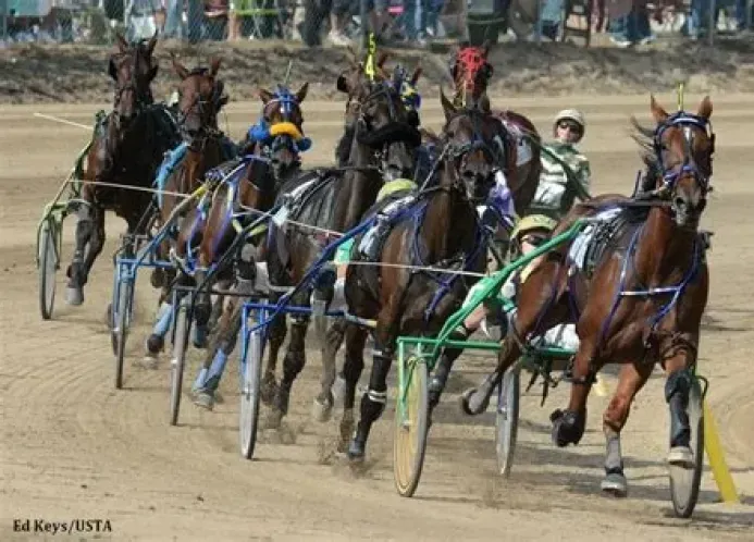 Harness racehorses racing on a dirt track, front horse wearing green harness in the lead
