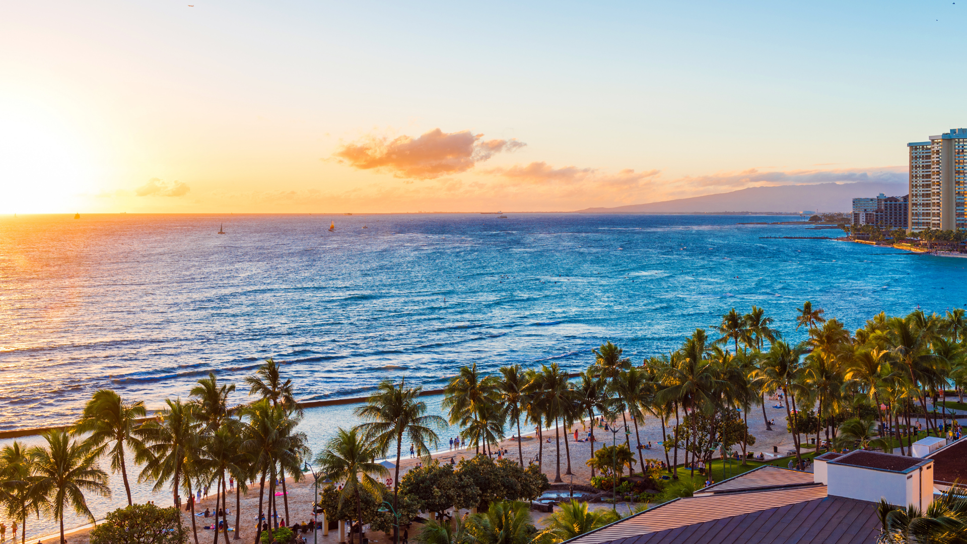 An aerial view of a beach with palm trees and a sunset over the ocean.