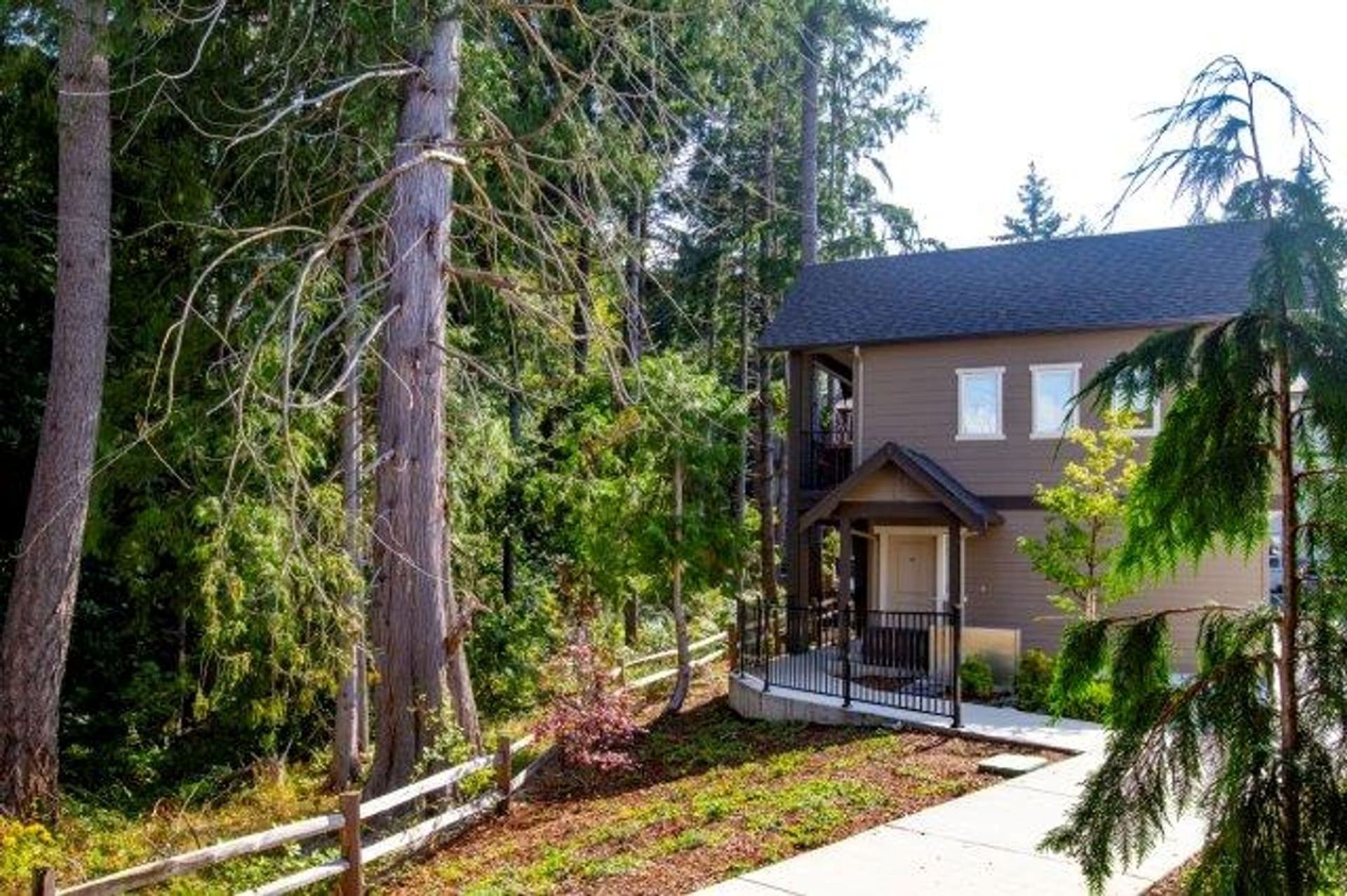 A house in the middle of a forest with a walkway leading to it