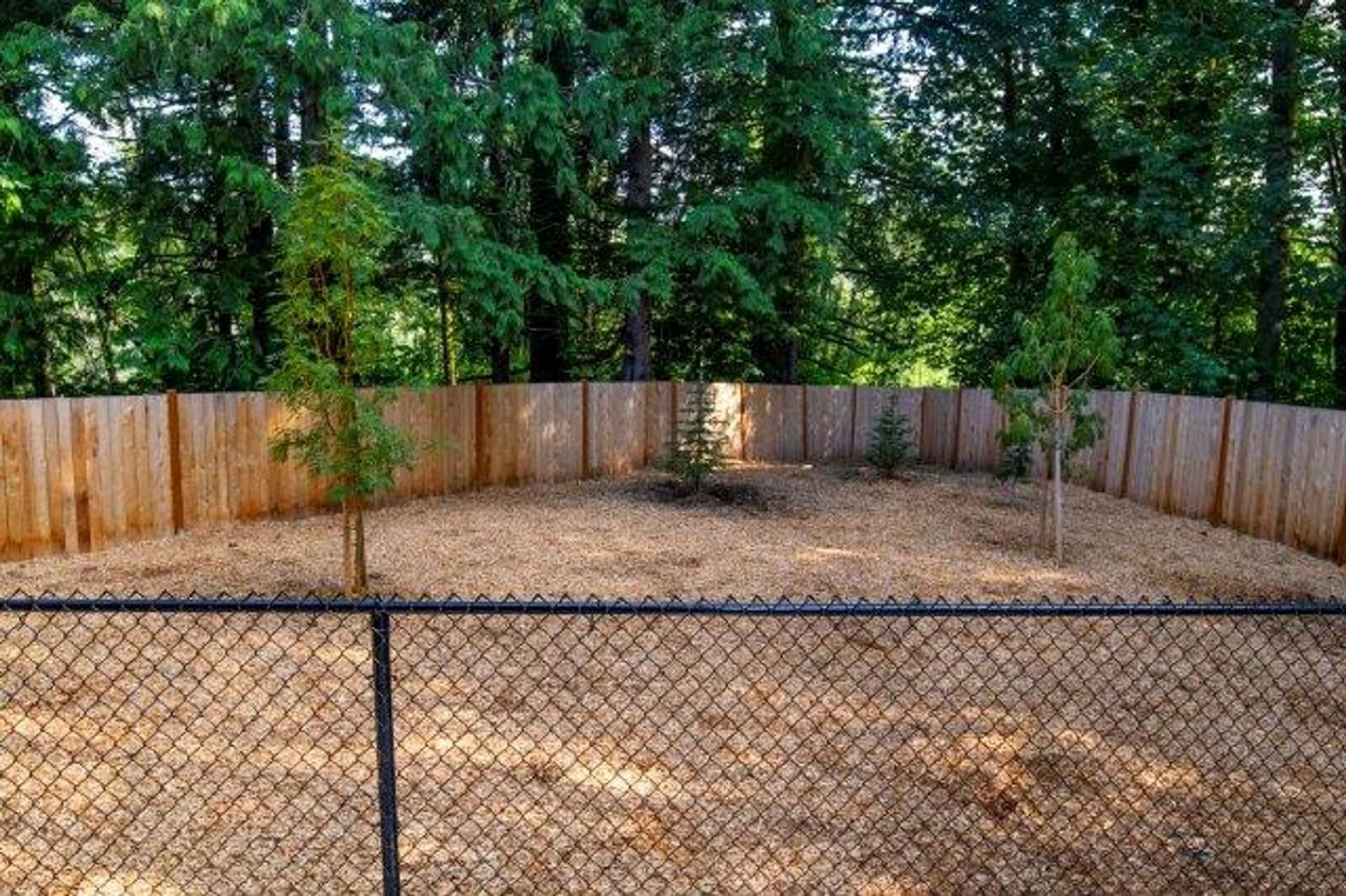 A chain link fence surrounds a lush green forest