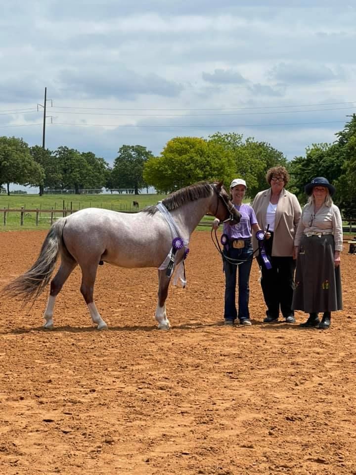 Three women are standing next to a horse in a dirt field.