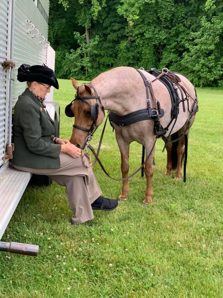 A woman is sitting on a bench next to a horse.