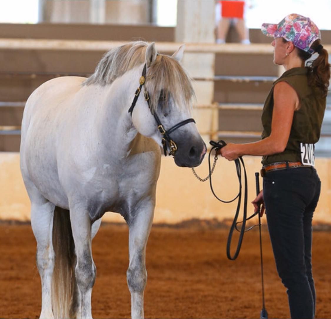 A woman standing next to a white horse with the number 218 on her back