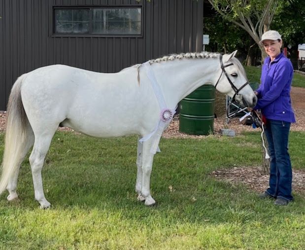A woman in a purple jacket is standing next to a white horse.