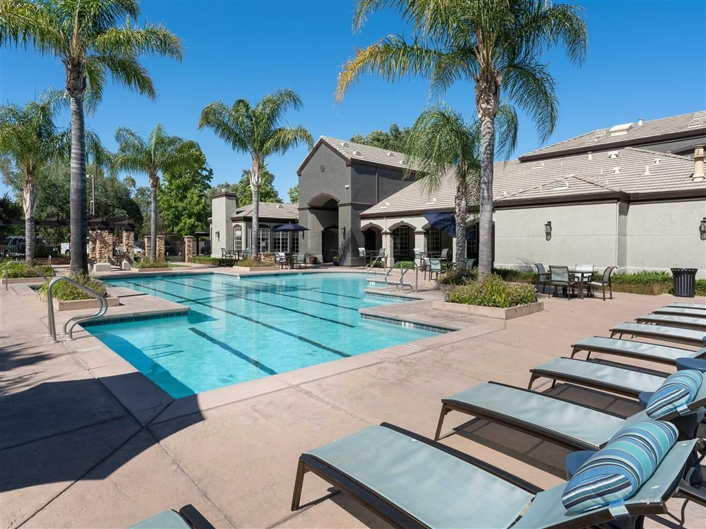 Outdoor community pool area with lounge chairs, palm trees, and surrounding buildings.