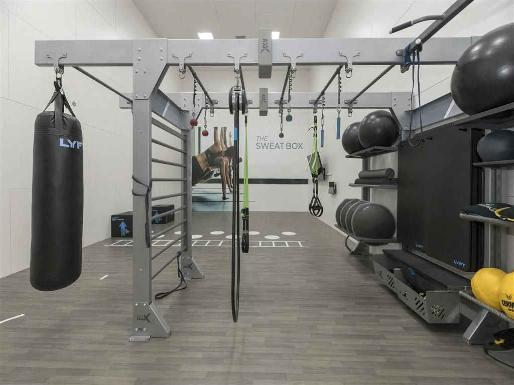 Interior of a residential gym with a metal frame, punching bag, medicine balls, and training equipment.