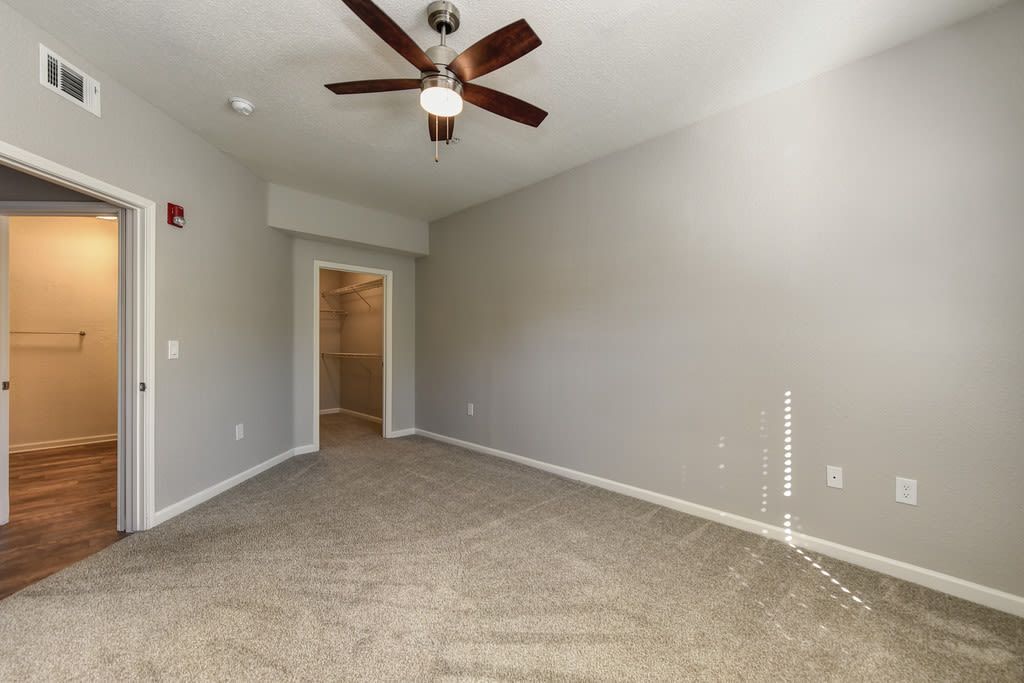 Empty bedroom with carpet, ceiling fan, closet, and grey walls.