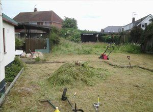 Routine garden maintenance