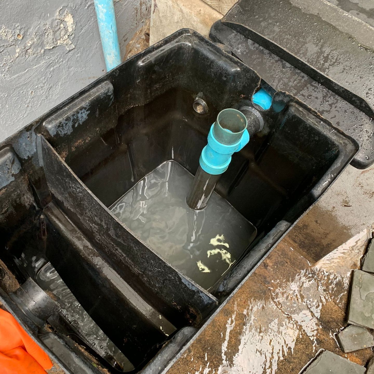 A black container filled with water and blue pipes.