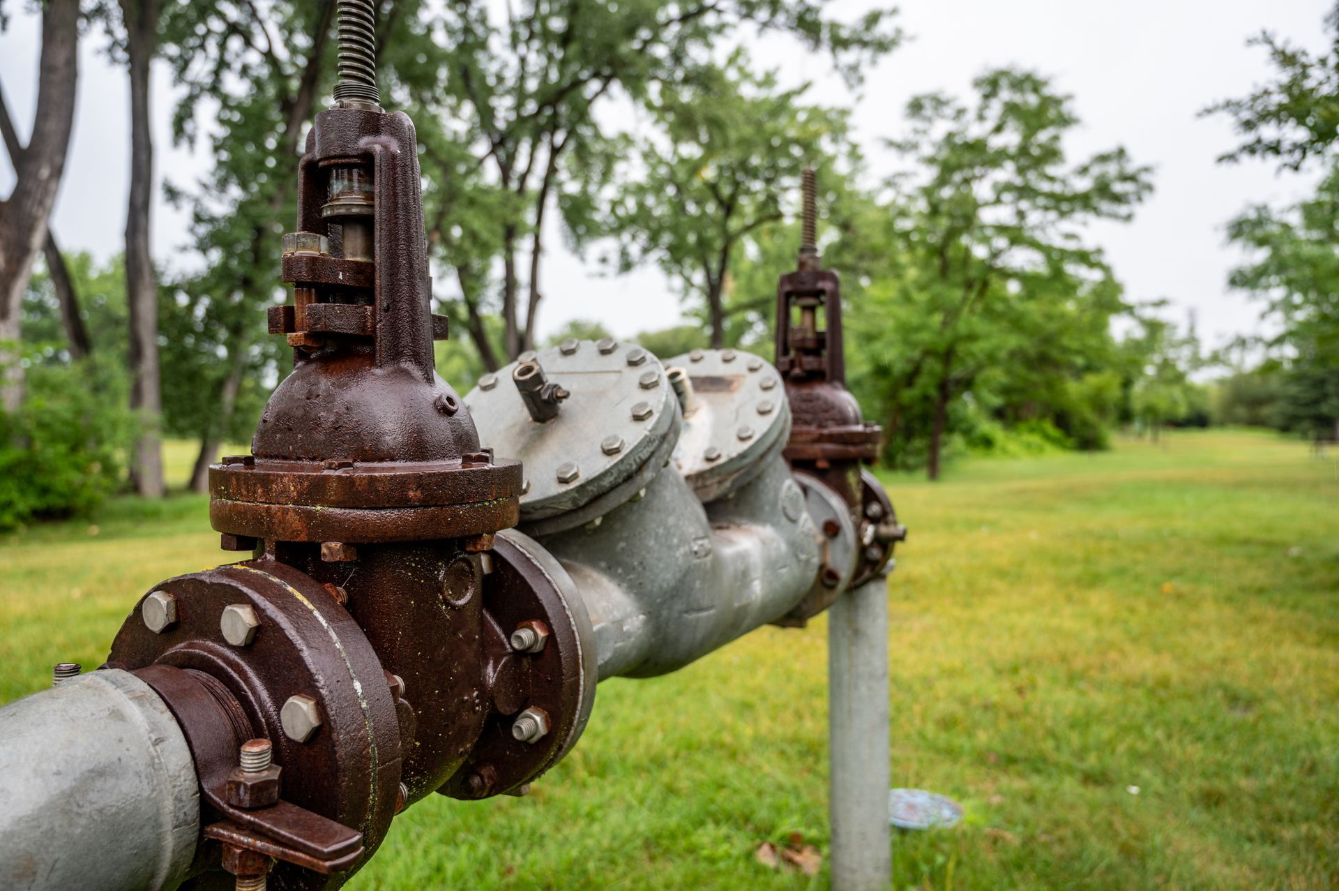 A row of rusty pipes in a field with trees in the background.