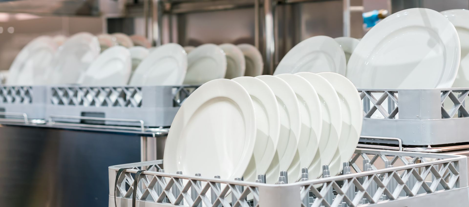 White plates stacked in a commercial dishwasher rack.