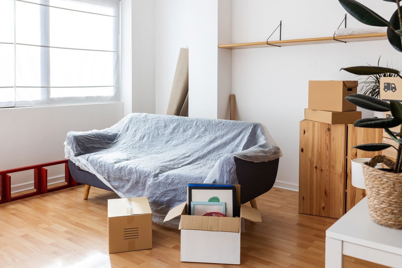A sofa sits in an empty living room surrounded by boxes, plants, and belongings ready for moving day