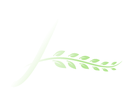 Grace Memorial Cremation & Funeral Services