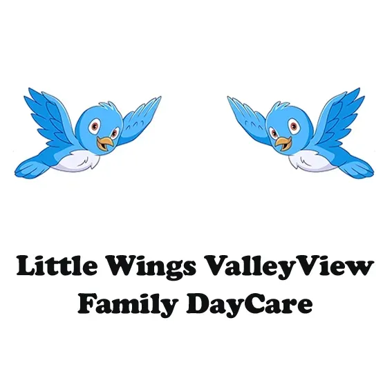 A Logo for Little Wings Valley View Family Daycare — Five Star Family Day Care in Port Stephens, NSW