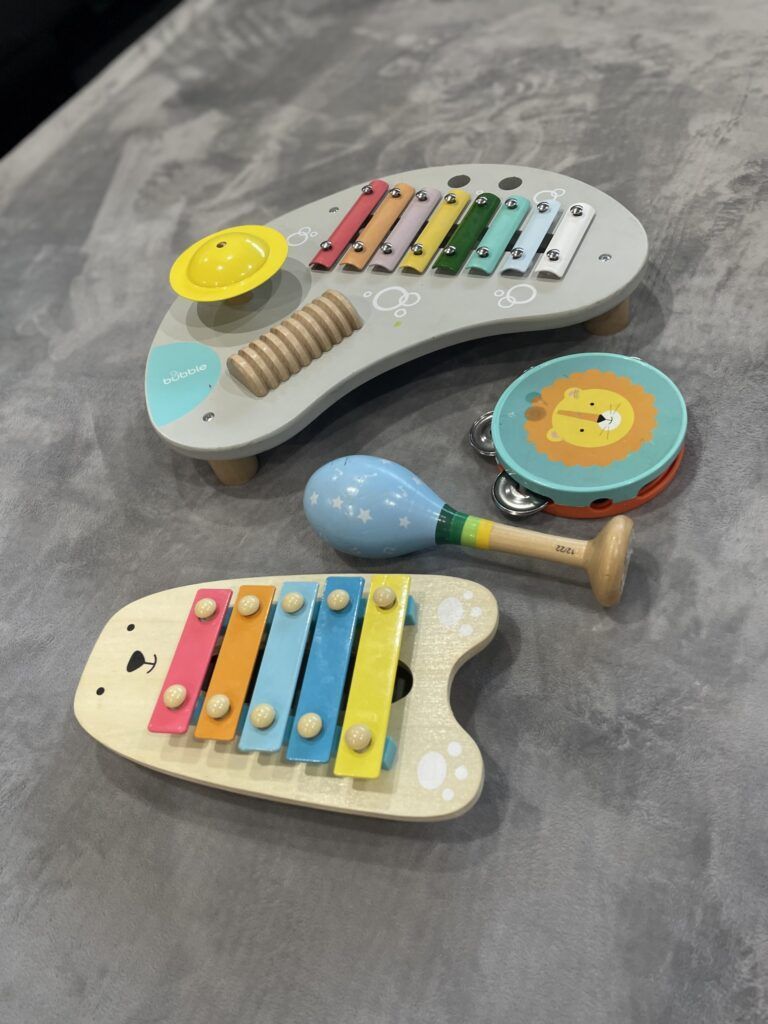 Musical Toy Set, Xylophones, Maraca, Tambourine — Five Star Family Day Care In Muswellbrook, NSW