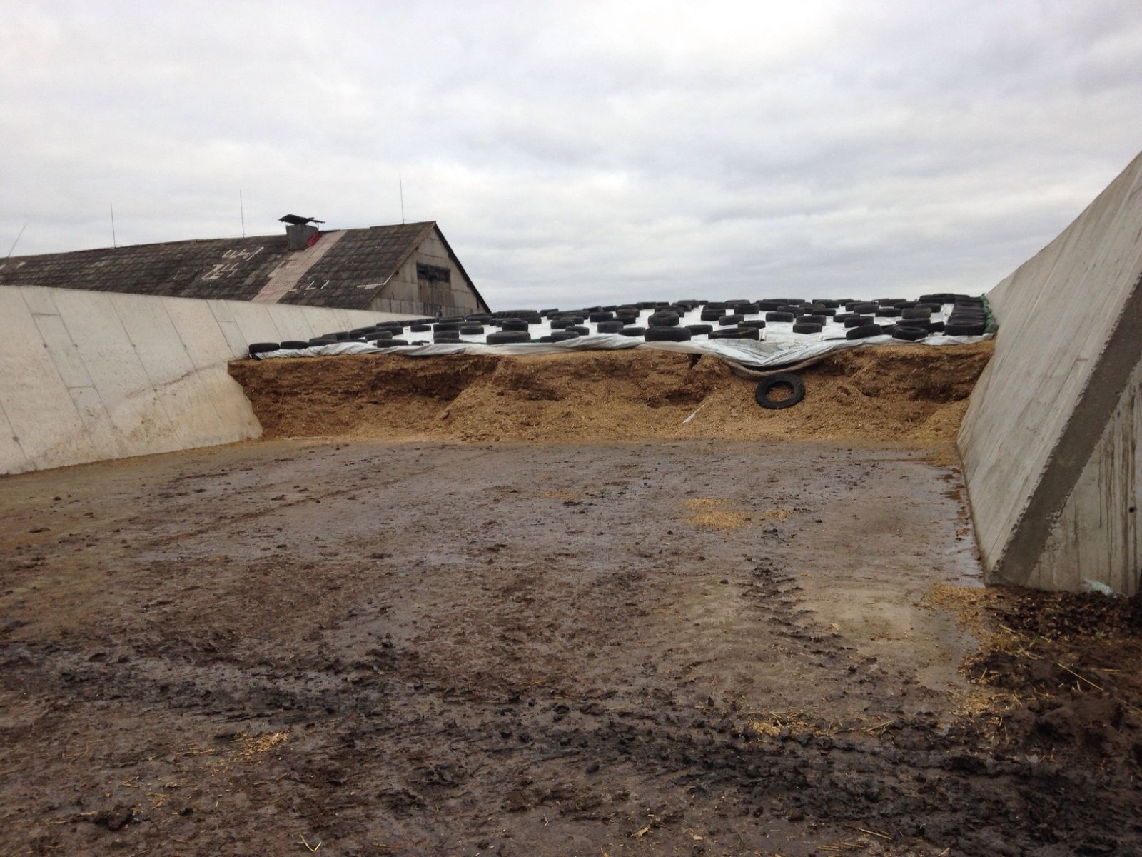 Silosinės ūkininkams