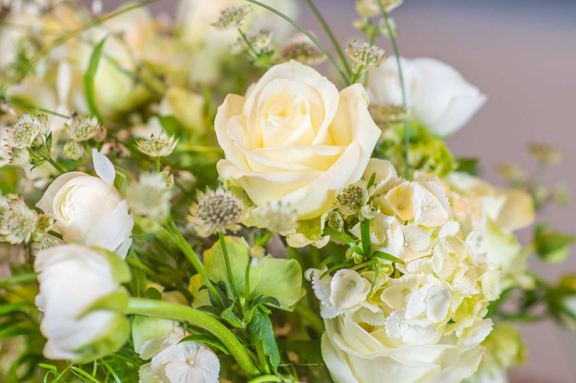 necrologio Ezia Baracchi