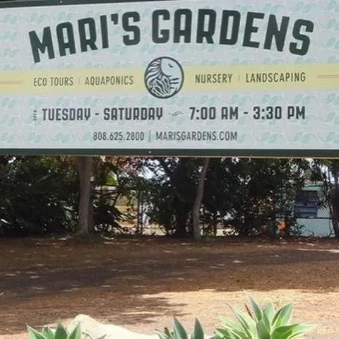 Eco Tours Aquaponics Banner | Honolulu, HI | ZIGU