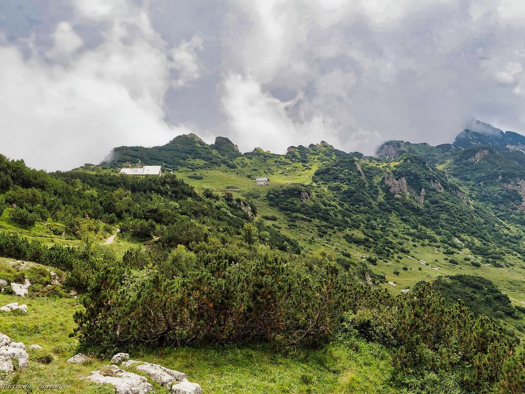 Una montagna coperta di alberi ed erba con un cielo nuvoloso sullo sfondo.