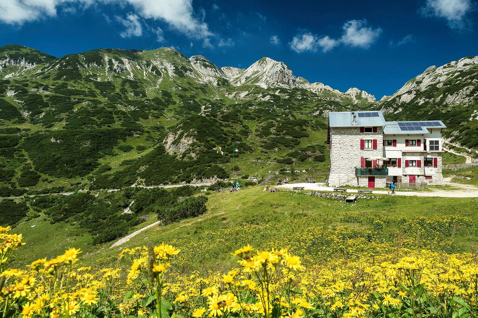 Una casa in montagna con davanti un campo di fiori gialli.