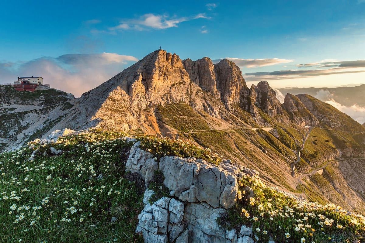 Una montagna ricoperta di fiori ed erba con un cielo azzurro sullo sfondo.