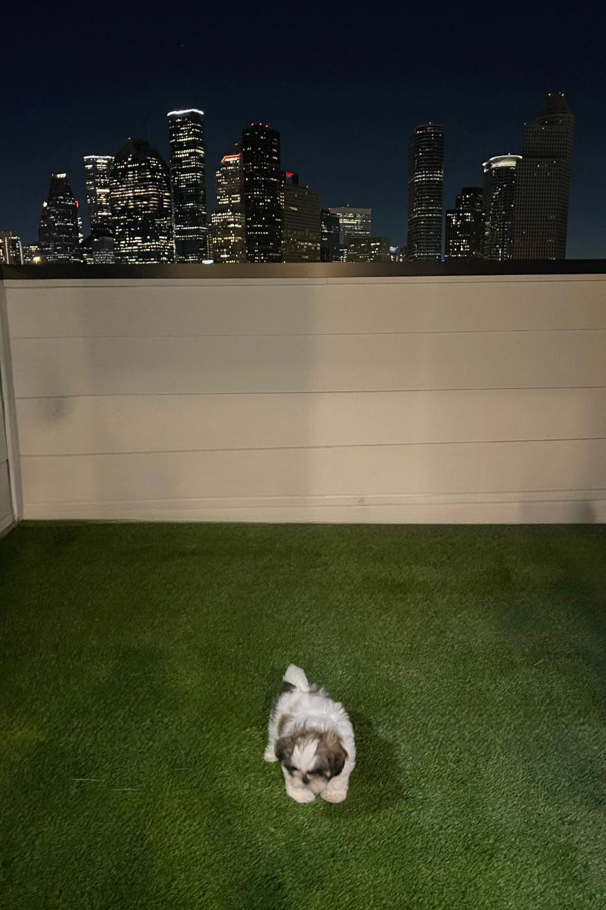 Houston Landscaping Company, Landscape Design, Landscaper Near Me, Hardscaping, Retaining Walls, Outdoor Kitchen Builds, Outdoor Kitchen Installations, Pergola Builds, Pergola Installations, Tree Planting, Bush Planting, TurfCraft Innovations, Houston TX, River Oaks Houston TX, Memorial Park Houston TX, Montrose Houston TX, Houston Heights Houston TX, Hunters Creek Village TX, Katy TX, West University Place TX, Tomball TX, Louetta TX, Spring TX, Westfield TX, Humble TX, Porter TX, Cypress TX, Sugar Land TX, Fresno TX, Pearland TX, Pasadena TX, Friendswood TX, Artificial Turf Company, Artificial Turf Company Near Me, Artificial Turf Installation, Residential Artificial Turf Installation, Commercial Artificial Turf Installation, Artificial Turf Installation, Houston Artificial Turf Company, Hunters Creek Village Artificial Turf Company, Katy Artificial Turf Company, Tomball Artificial Turf Company, Louetta Artificial Turf Company, Spring Artificial Turf Company, Westfield Artificial Turf Company, Humble Artificial Turf Company, Porter Artificial Turf Company, Cypress Artificial Turf Company, Sugar Land Artificial Turf Company, Fresno Artificial Turf Company, Pearland Artificial Turf Company, Pasadena Artificial Turf Company, Friendswood Artificial Turf Company, Gravel Installation, Residential Gravel Installation, Commercial Gravel Installation, Gravel Company Near Me, Houston Gravel Company, Hunters Creek Village Gravel Company, Katy Gravel Company, Tomball Gravel Company, Louetta Gravel Company, Spring Gravel Company, Westfield Gravel Company, Humble Gravel Company, Porter Gravel Company, Cypress Gravel Company, Sugar Land Gravel Company, Fresno Gravel Company, Pearland Gravel Company, Pasadena Gravel Company, Friendswood Gravel Company, Paver Installation, Residential Paver Installation, Commercial Paver Installation, Paver Company Near Me, Houston Paver Company, Hunters Creek Village Paver Company, Katy Paver Company, Tomball Paver Company, Louetta Paver Company, Spring Paver Company, Westfield Paver Company, Humble Paver Company, Porter Paver Company, Cypress Paver Company, Sugar Land Paver Company, Fresno Paver Company, Pearland Paver Company, Pasadena Paver Company, Friendswood Paver Company, Driveway Pavers, Walkway Pavers, Patio Pavers