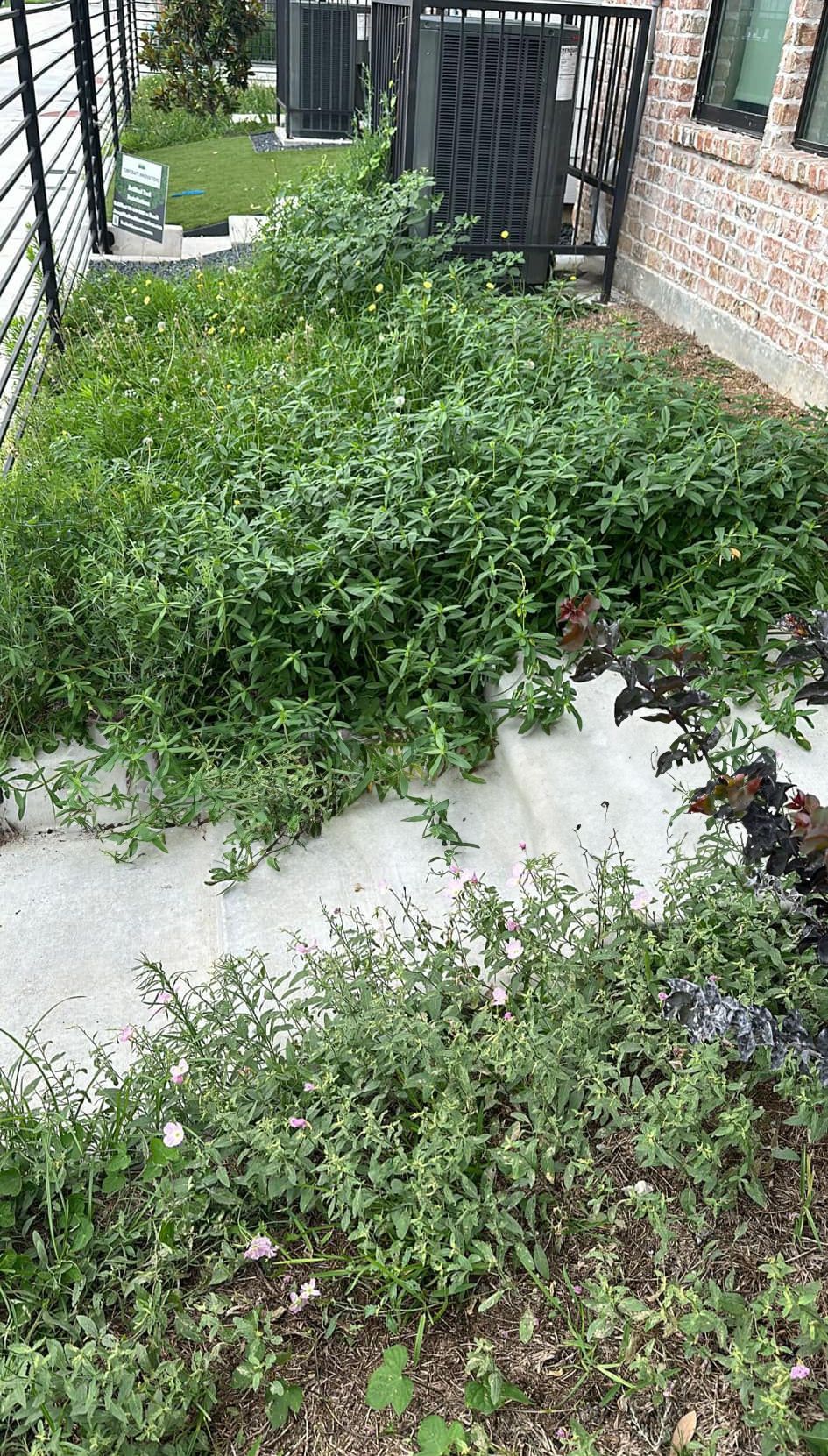 Houston Landscaping Company, Landscape Design, Landscaper Near Me, Hardscaping, Retaining Walls, Outdoor Kitchen Builds, Outdoor Kitchen Installations, Pergola Builds, Pergola Installations, Tree Planting, Bush Planting, TurfCraft Innovations, Houston TX, River Oaks Houston TX, Memorial Park Houston TX, Montrose Houston TX, Houston Heights Houston TX, Hunters Creek Village TX, Katy TX, West University Place TX, Tomball TX, Louetta TX, Spring TX, Westfield TX, Humble TX, Porter TX, Cypress TX, Sugar Land TX, Fresno TX, Pearland TX, Pasadena TX, Friendswood TX, Artificial Turf Company, Artificial Turf Company Near Me, Artificial Turf Installation, Residential Artificial Turf Installation, Commercial Artificial Turf Installation, Artificial Turf Installation, Houston Artificial Turf Company, Hunters Creek Village Artificial Turf Company, Katy Artificial Turf Company, Tomball Artificial Turf Company, Louetta Artificial Turf Company, Spring Artificial Turf Company, Westfield Artificial Turf Company, Humble Artificial Turf Company, Porter Artificial Turf Company, Cypress Artificial Turf Company, Sugar Land Artificial Turf Company, Fresno Artificial Turf Company, Pearland Artificial Turf Company, Pasadena Artificial Turf Company, Friendswood Artificial Turf Company, Gravel Installation, Residential Gravel Installation, Commercial Gravel Installation, Gravel Company Near Me, Houston Gravel Company, Hunters Creek Village Gravel Company, Katy Gravel Company, Tomball Gravel Company, Louetta Gravel Company, Spring Gravel Company, Westfield Gravel Company, Humble Gravel Company, Porter Gravel Company, Cypress Gravel Company, Sugar Land Gravel Company, Fresno Gravel Company, Pearland Gravel Company, Pasadena Gravel Company, Friendswood Gravel Company, Paver Installation, Residential Paver Installation, Commercial Paver Installation, Paver Company Near Me, Houston Paver Company, Hunters Creek Village Paver Company, Katy Paver Company, Tomball Paver Company, Louetta Paver Company, Spring Paver Company, Westfield Paver Company, Humble Paver Company, Porter Paver Company, Cypress Paver Company, Sugar Land Paver Company, Fresno Paver Company, Pearland Paver Company, Pasadena Paver Company, Friendswood Paver Company, Driveway Pavers, Walkway Pavers, Patio Pavers