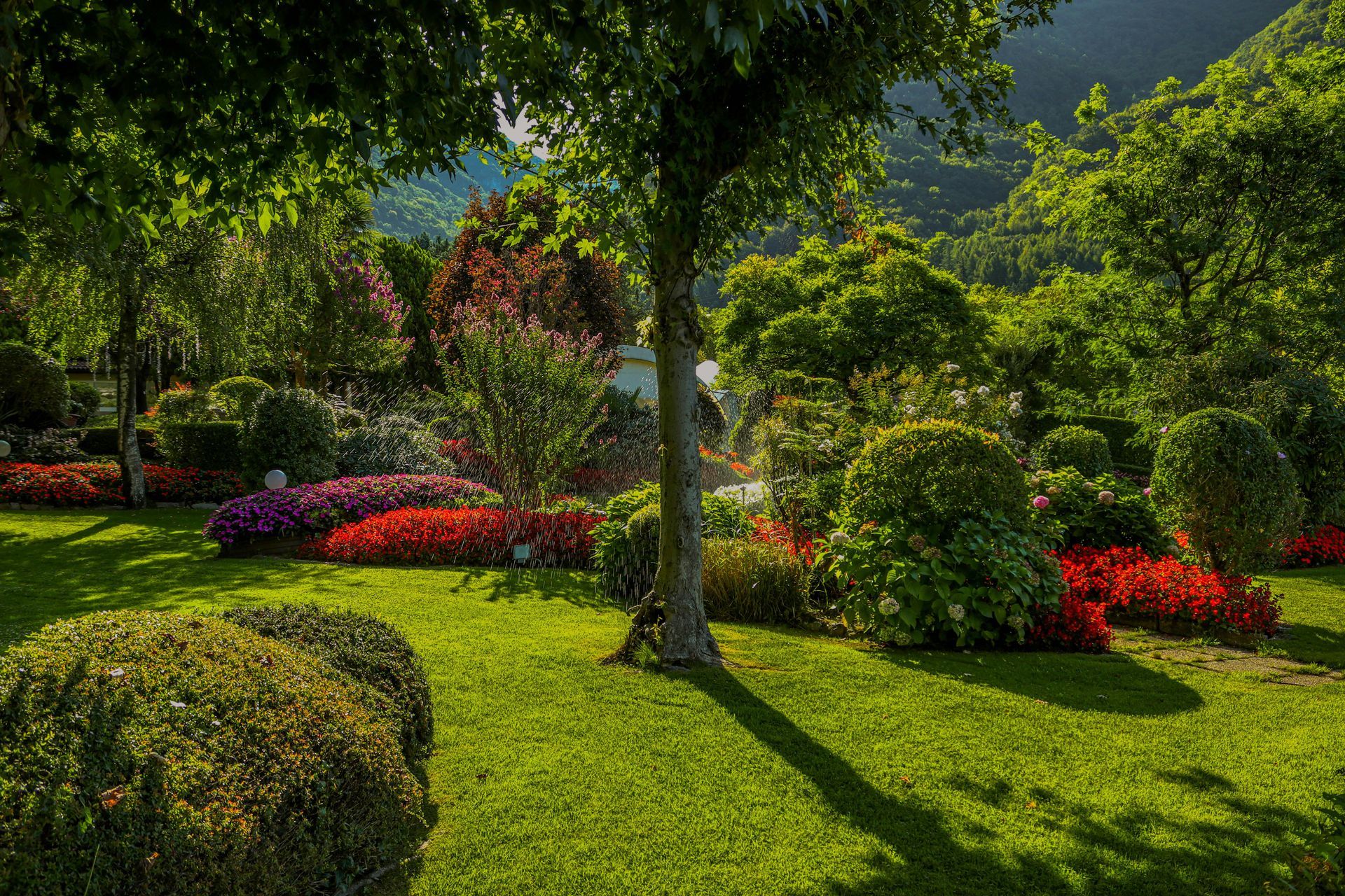 landscaper, Houston TX